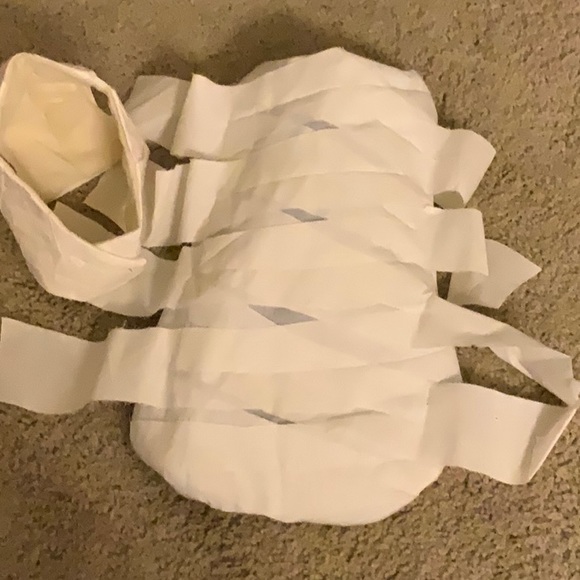 Other - Mummy Dog Costume!
